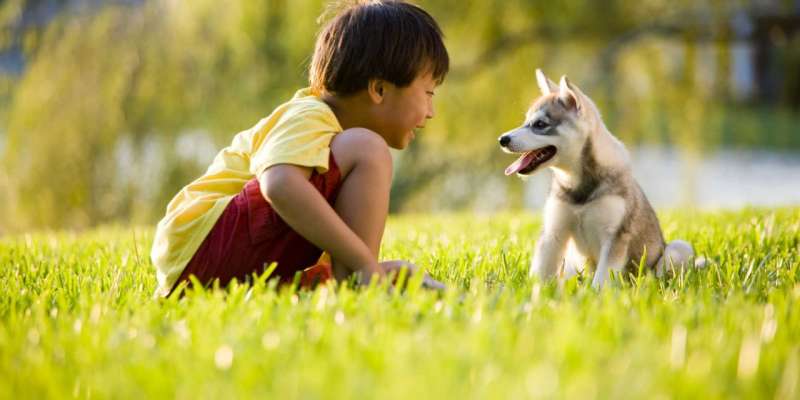 Có nên cho trẻ chơi với chó nuôi